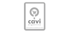 CAVI - Camara Argentina de Vendedores por Internet